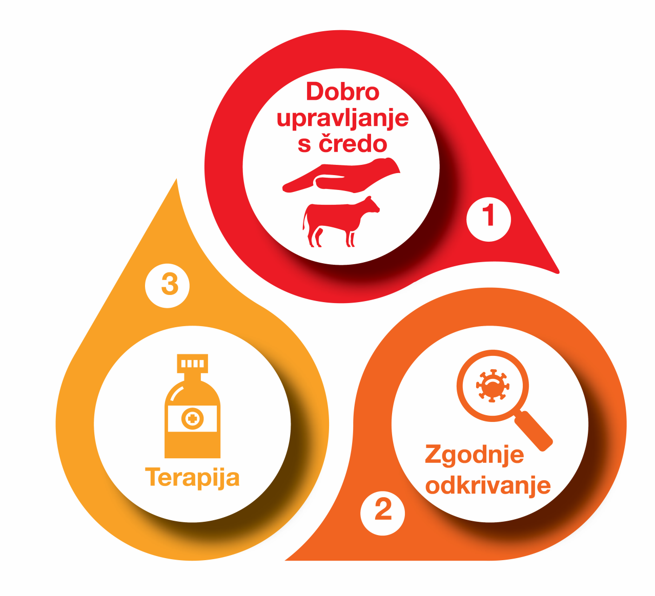 Obvladovanje bolečine pri govedu - Celostni pristop Dechra