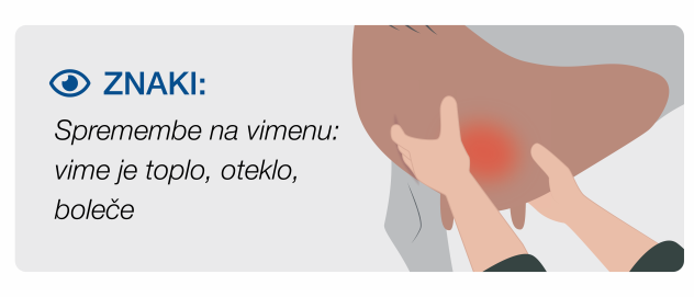 Clinical signs of mastitis involving cows in pain