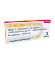 Clindabactin 440 mg žvečljive tablete za pse