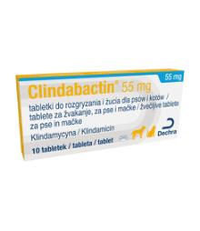 Clindabactin 55 mg žvečljive tablete za pse in mačke