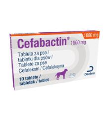 Cefabactin 1000 mg