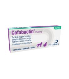 Cefabactin 250 mg tablete za pse in mačke